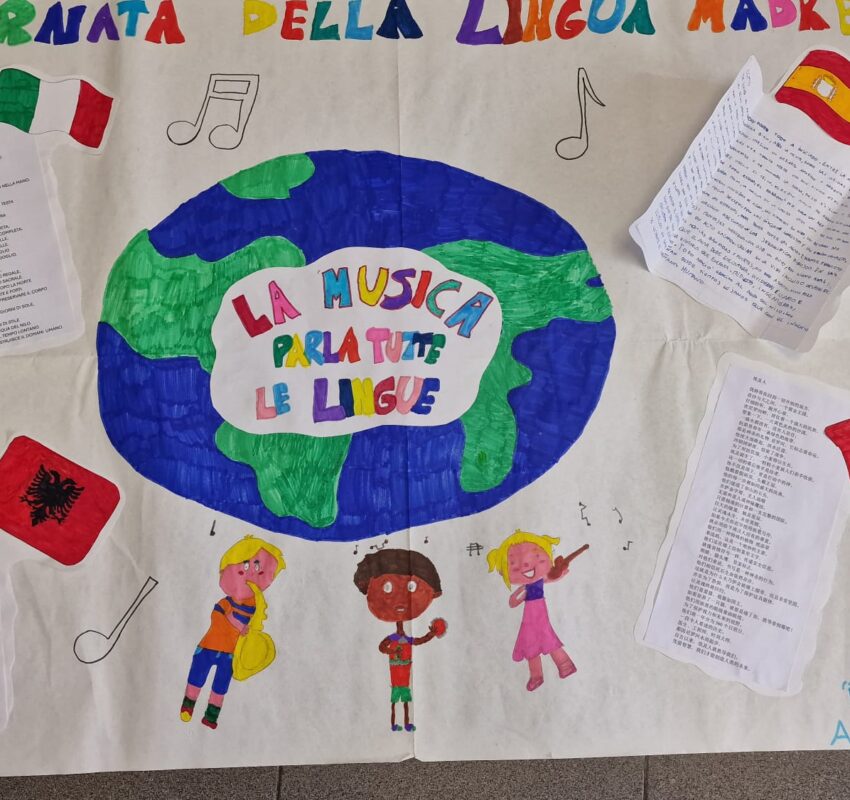 WhatsApp Image 2026-03-08 at 17.10.04