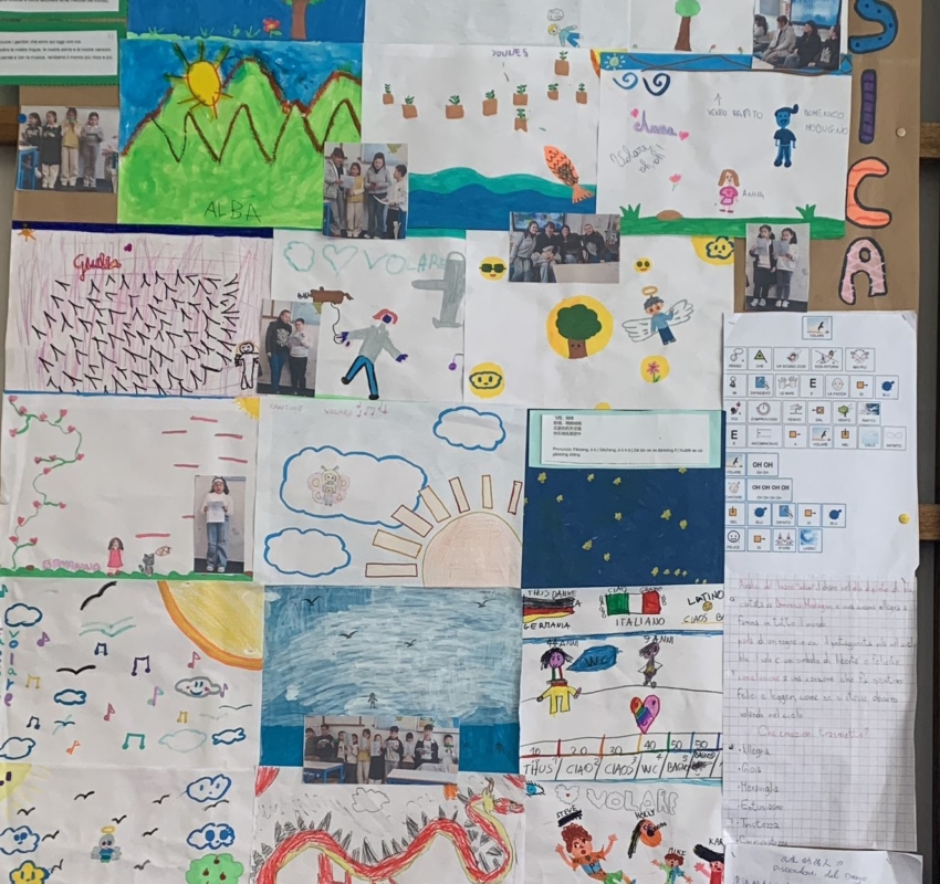 WhatsApp Image 2026-03-08 at 17.10.54