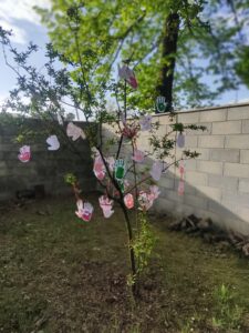 progetto scuola primaria